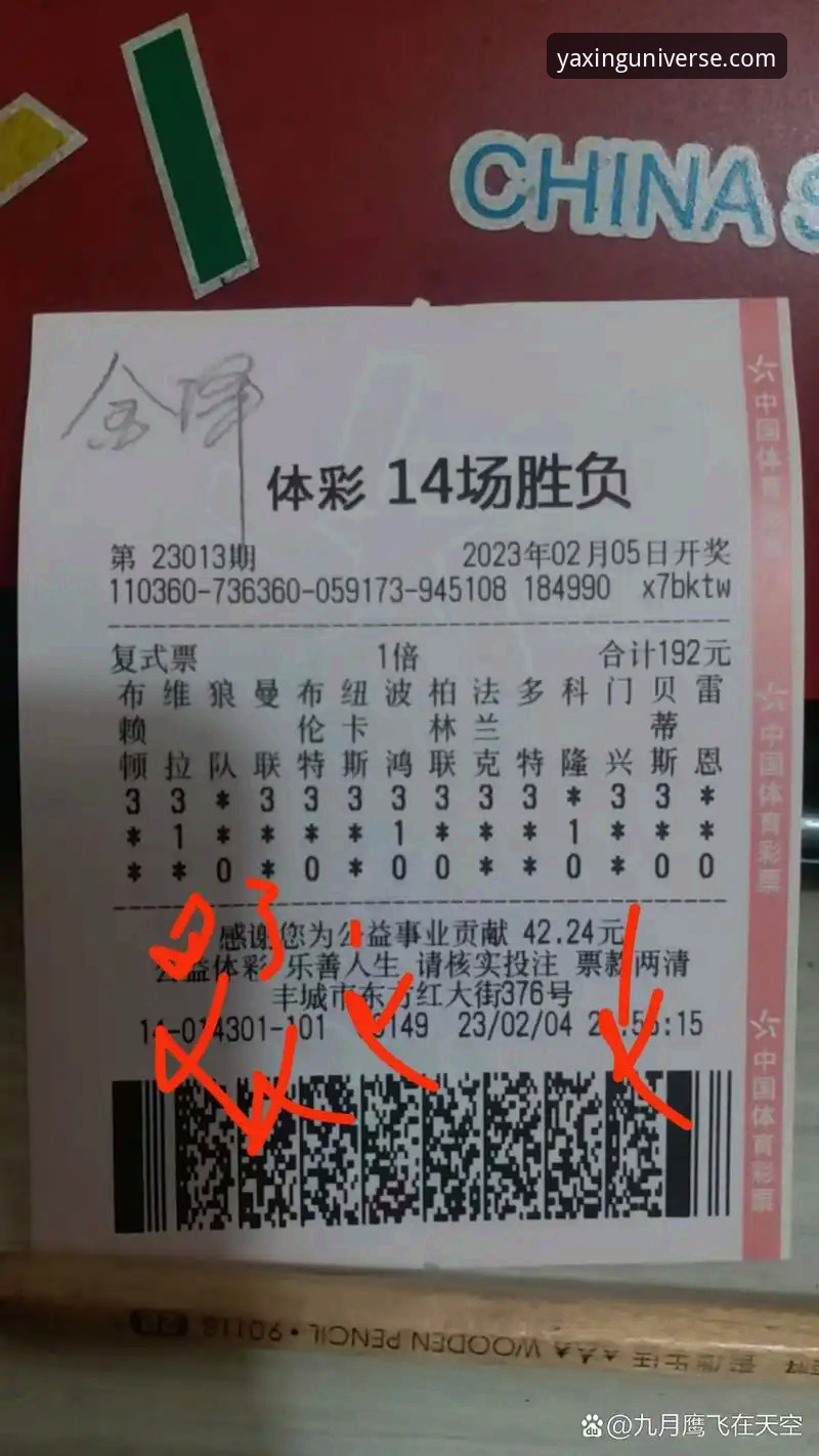 亚星官方入口怎么样 西甲保级战局深度解析:亚星体育平台观赛必备知识与技术复盘