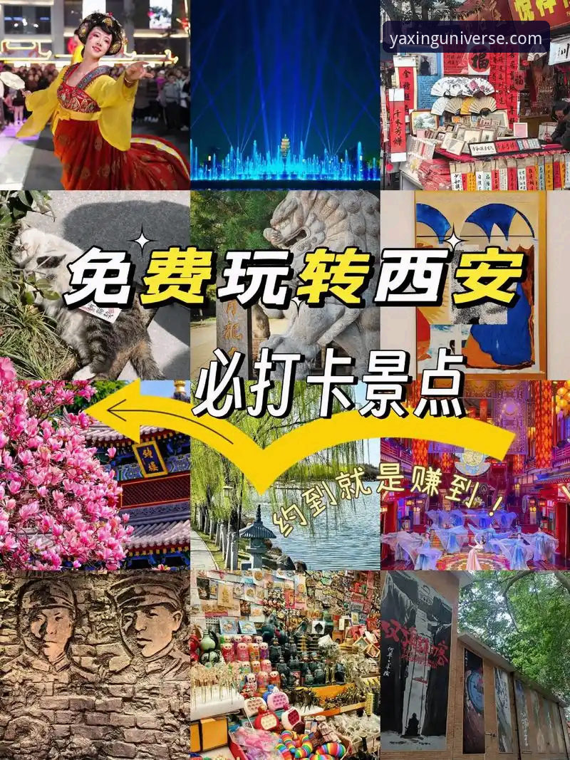 2026亚星APP更新 2026亚星APP更新完整指南:新功能、下载安装与安全使用攻略